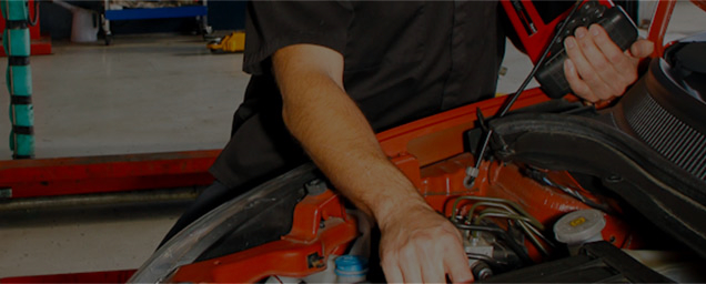 fredco-motors-engine-management-and-diagnostics